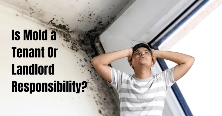 Is Mold a Tenant Or Landlord Responsibility? Find Out Here!