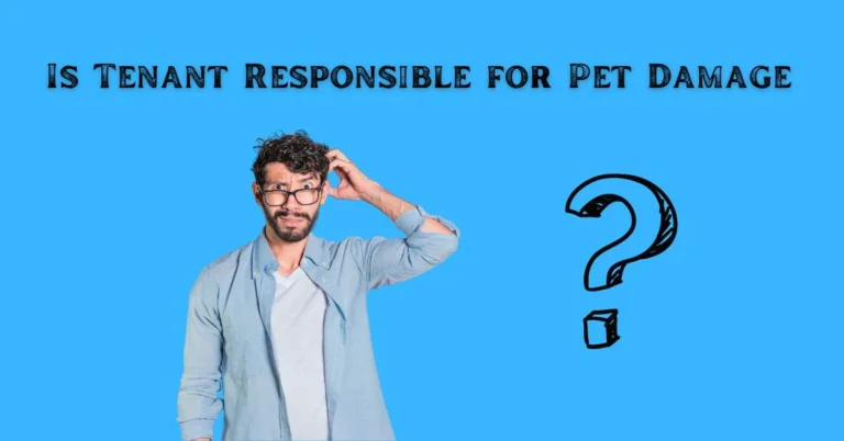 The Fine Line: Is Tenant Responsible for Pet Damage