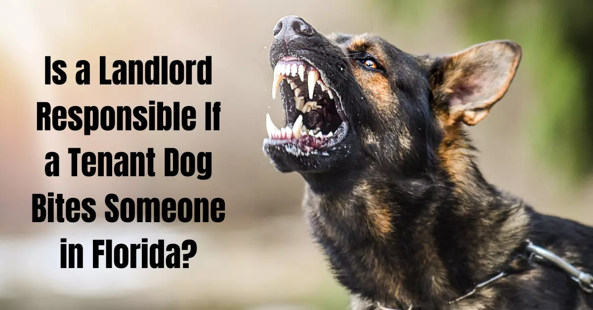 Is a Landlord Responsible If a Tenant Dog Bites Someone in Florida