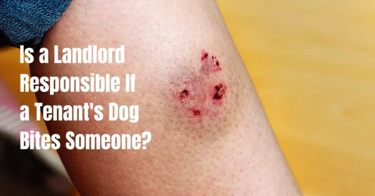 Is a Landlord Responsible If a Tenant’s Dog Bites Someone?