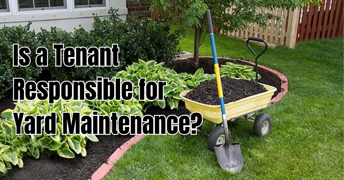 Is a Tenant Responsible for Yard Maintenance