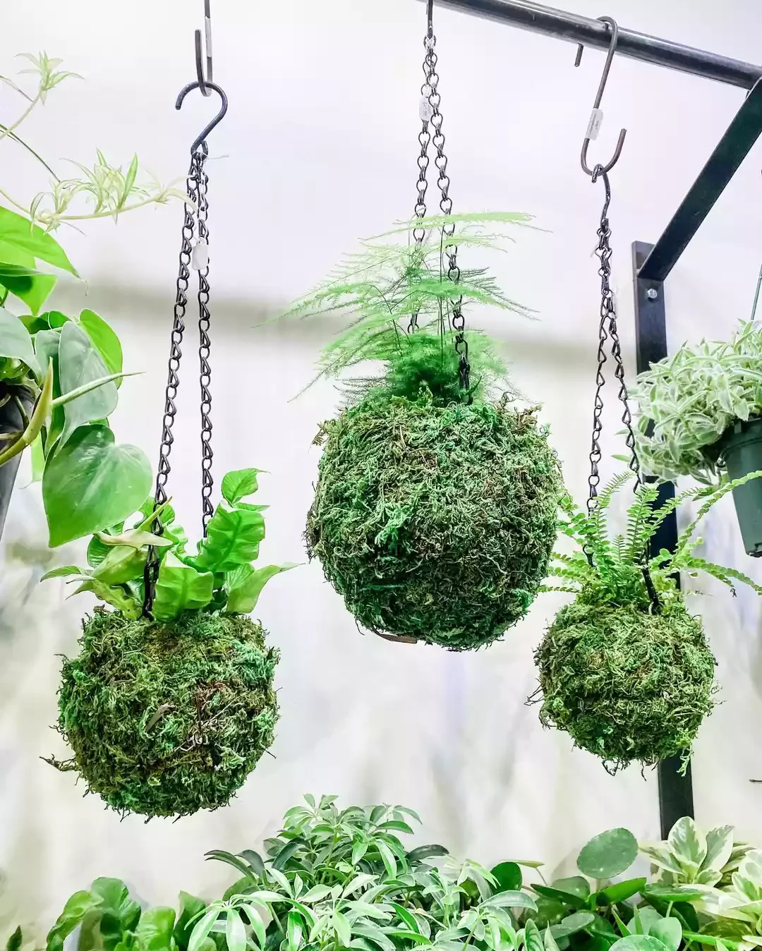 16 Beautiful Ways to Create Your Dream Indoor Garden Space Japanese Art for a Shady Location
