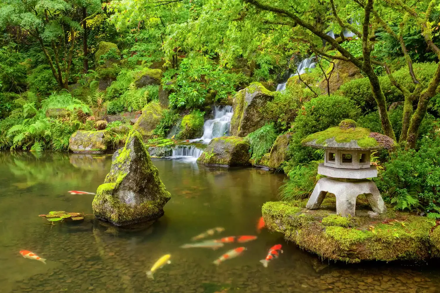 Japanese Style