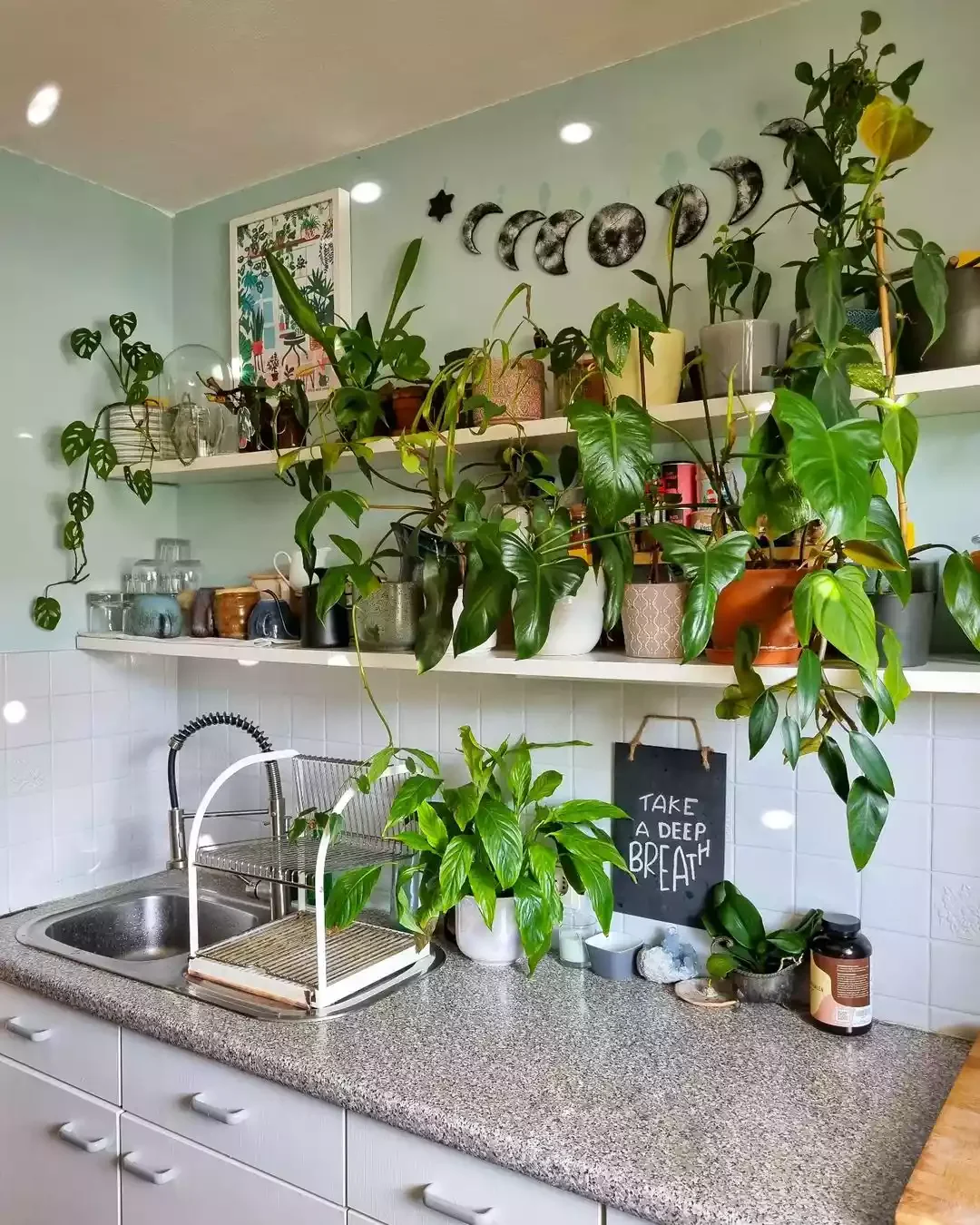 15 Creative Plant Display Ideas That'll Transform Your Home Into a Green Paradise 10 Jazz Up Your Sink Area