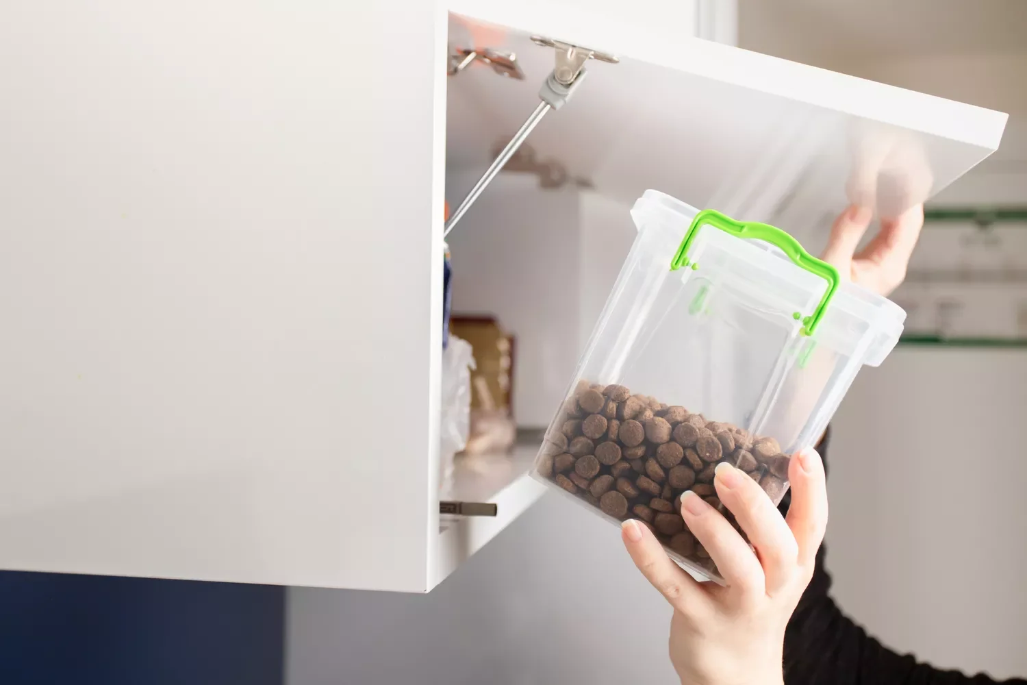 10 Stylish Dog Food Storage Solutions That Blend Into Your Home Decor Keep It In a Cabinet or Closet