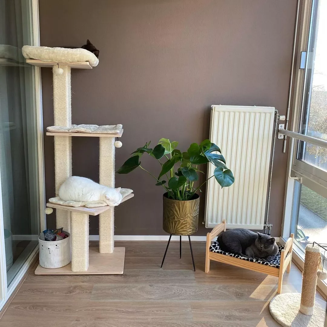 25 Stylish Cat Room Ideas That'll Transform Your Home Into a Feline Paradise 4 Keep It Small and Simple