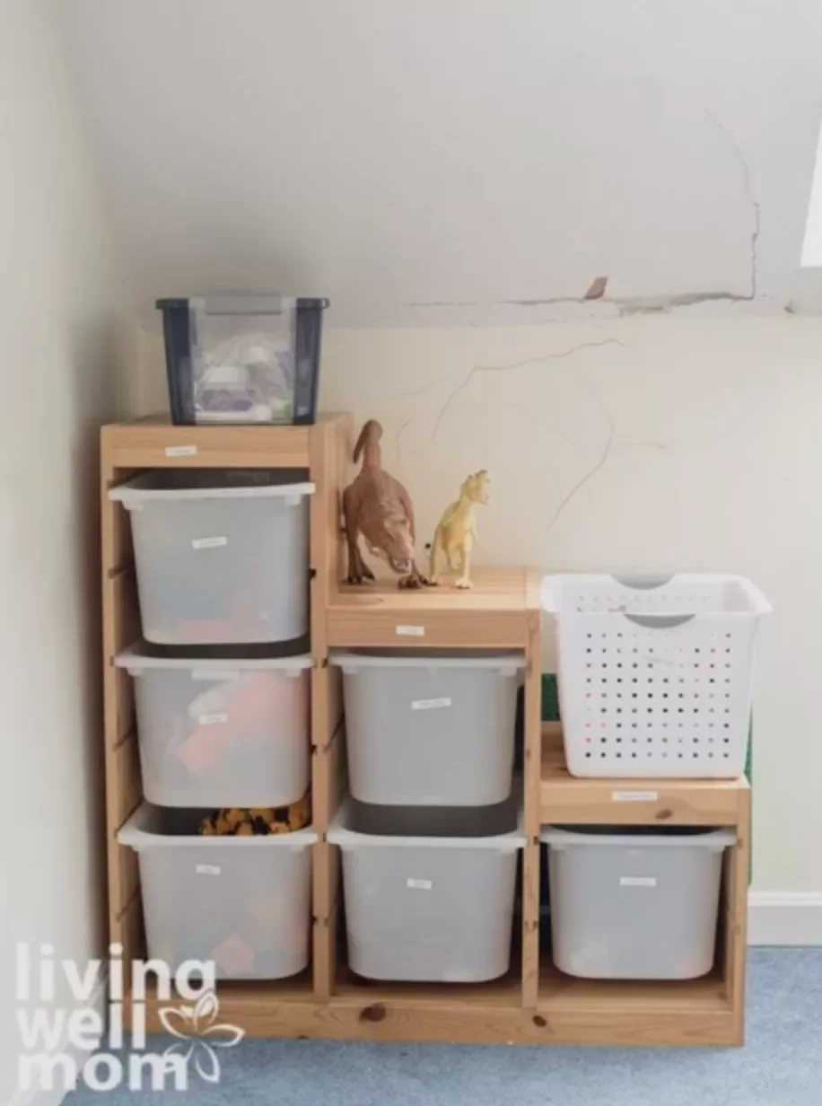 Labelled Bins With Kids
