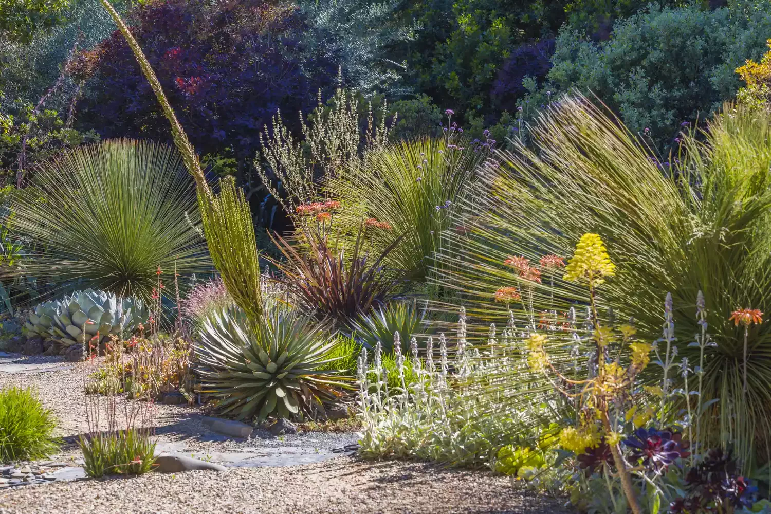 14 Creative Gravel Garden Ideas for a Beautiful Water-Smart Landscape Large-scale Gravel Garden