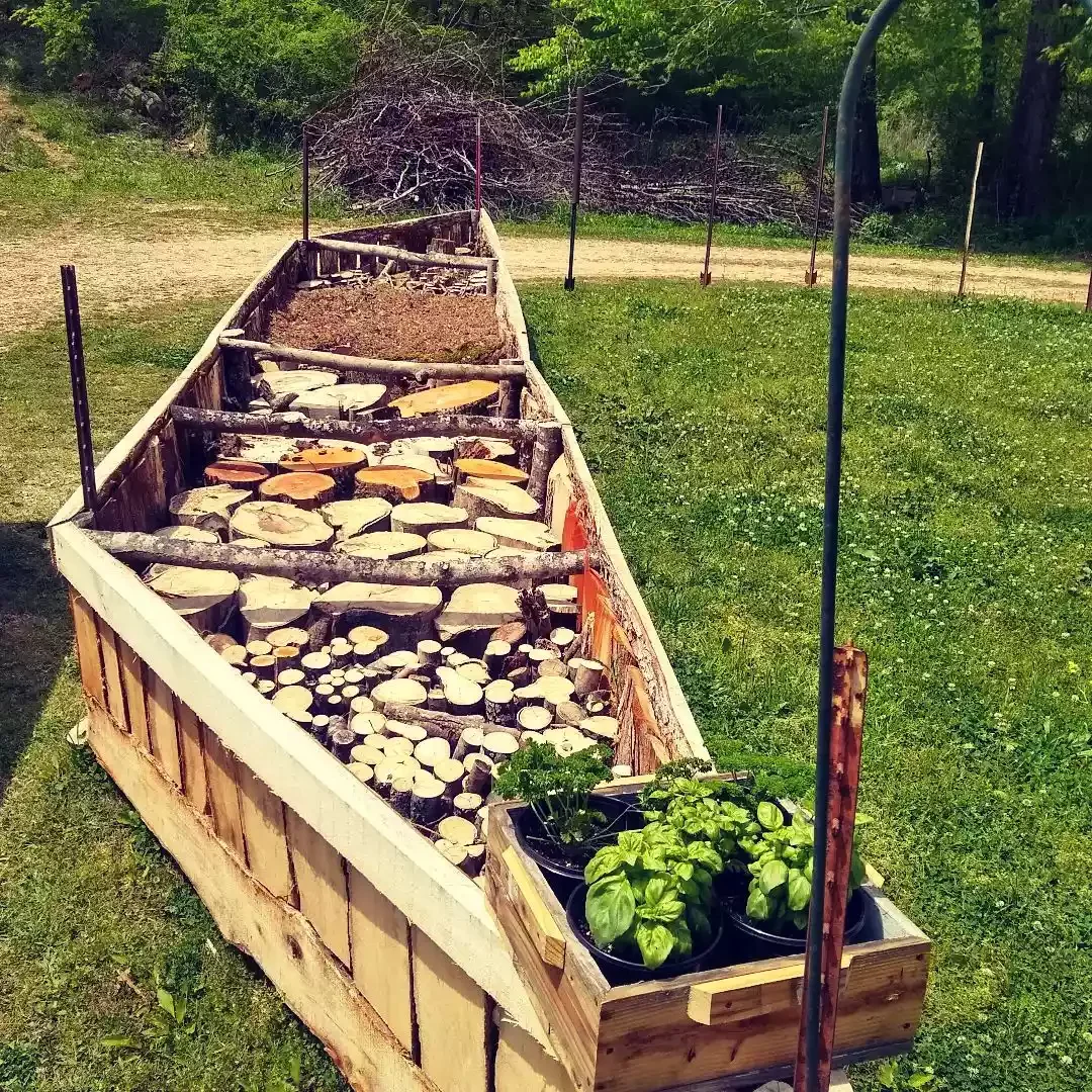 Lasagna Garden Raised Beds