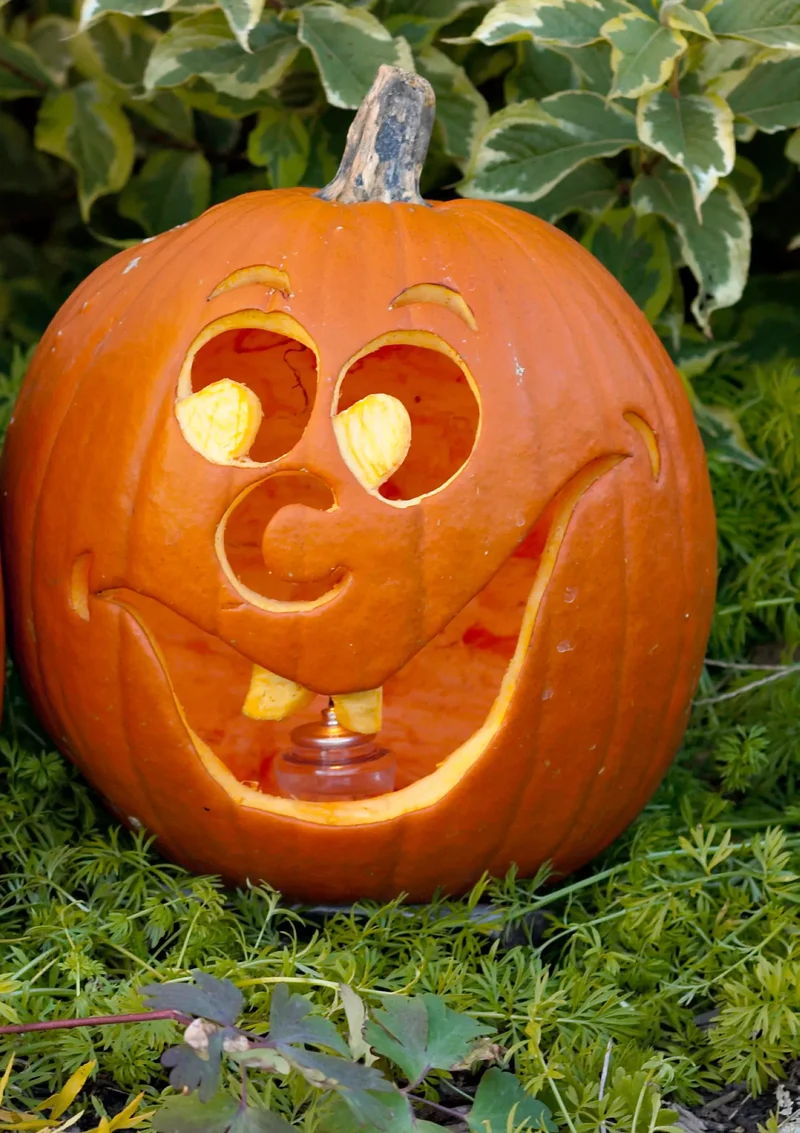 18 Fun Pumpkin-Carving Projects Perfect for Your Kids 15 Laughing Pumpkin
