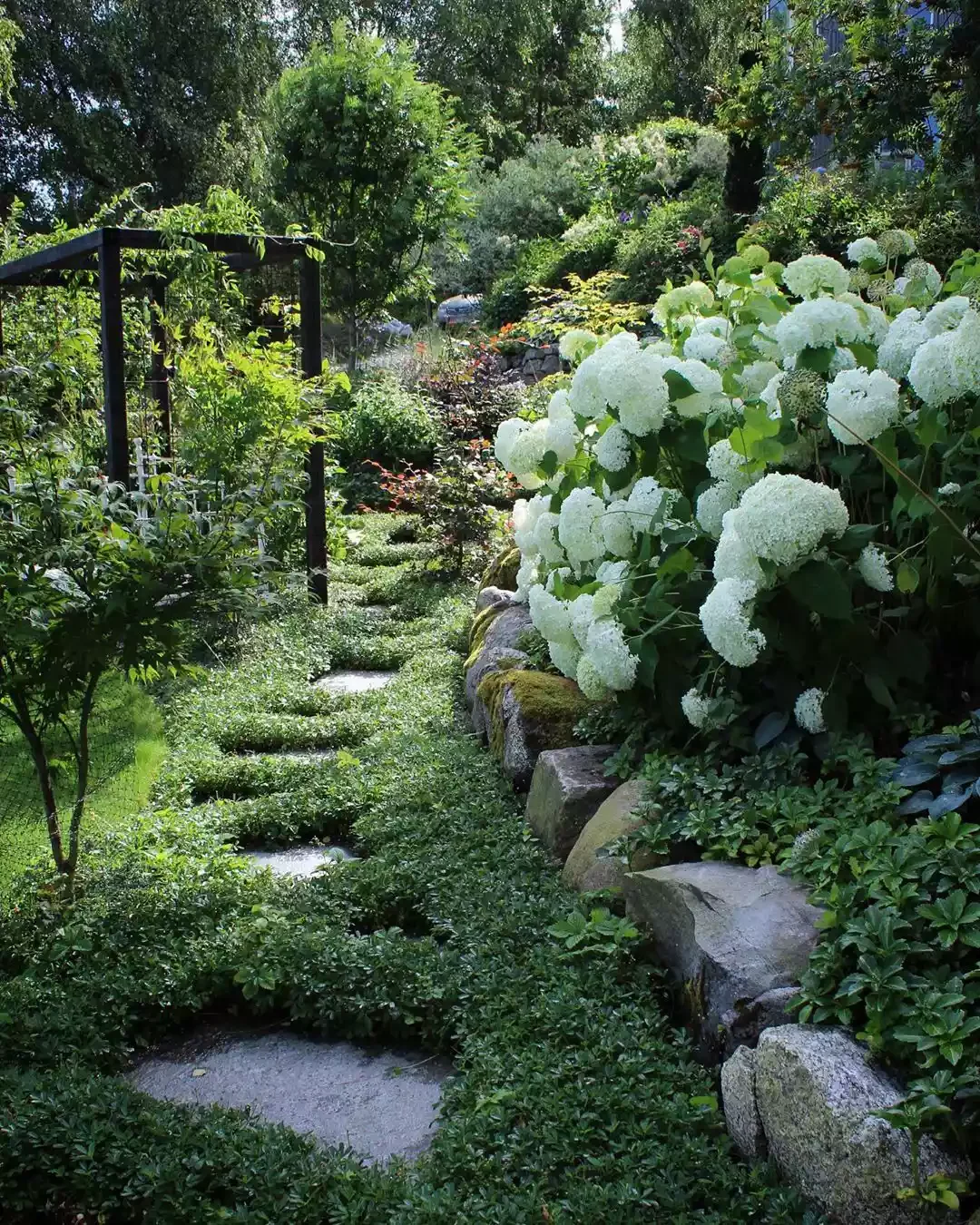 12 Water-Smart Landscaping Ideas for Your Home Lawn Alternatives