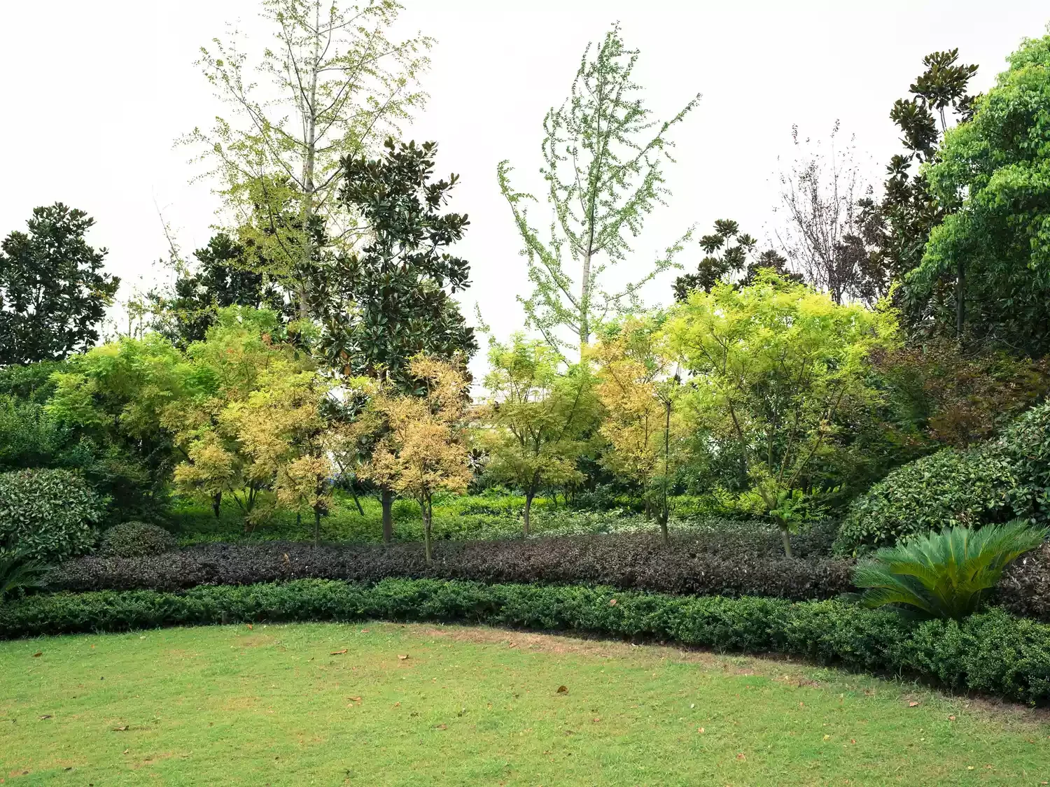 Layer Low Hedges With Small Trees