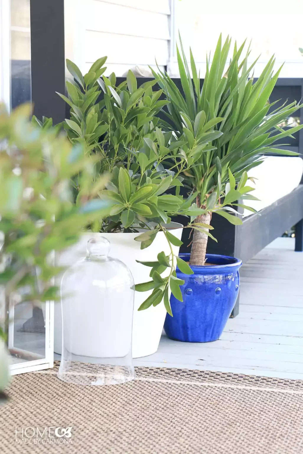 Layer the Plants