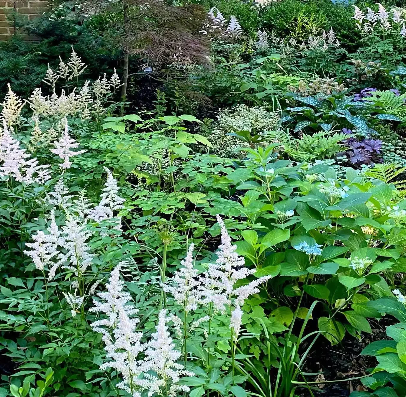 37 Stunning Flower Bed Designs That Will Transform Your Garden Lead the Eye