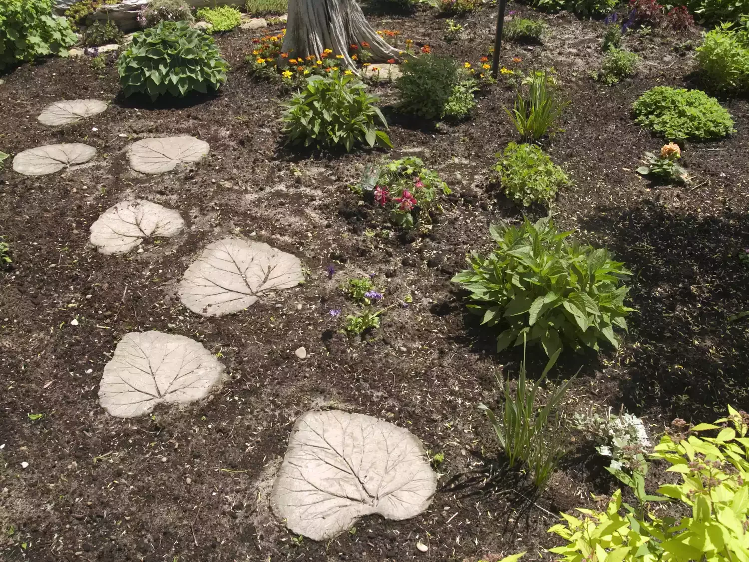 Leaf-Shaped Stepping Stones