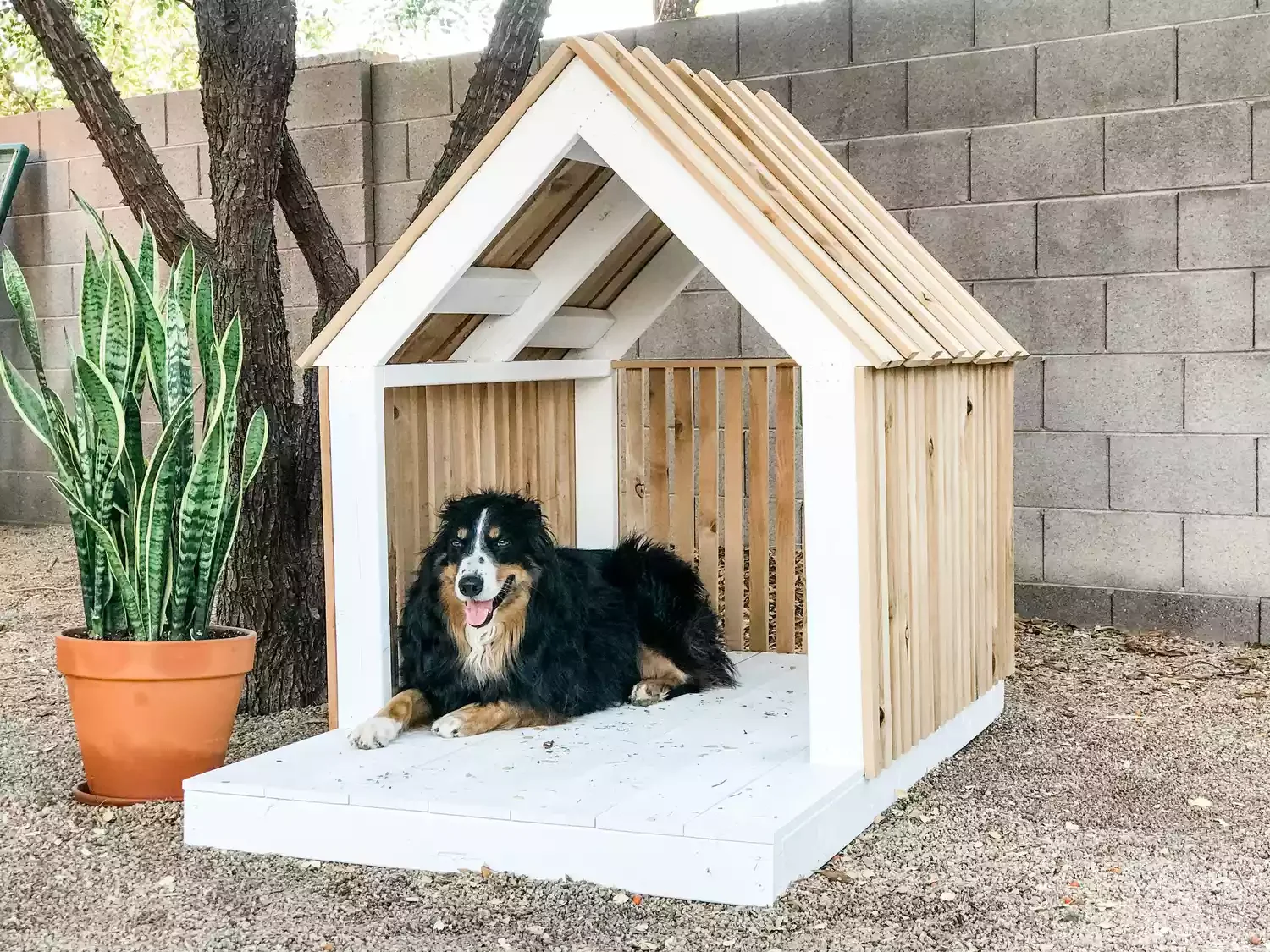 40 Budget-Friendly DIY Backyard Projects to Create Your Dream Outdoor Space Let Fido Hang Outdoors
