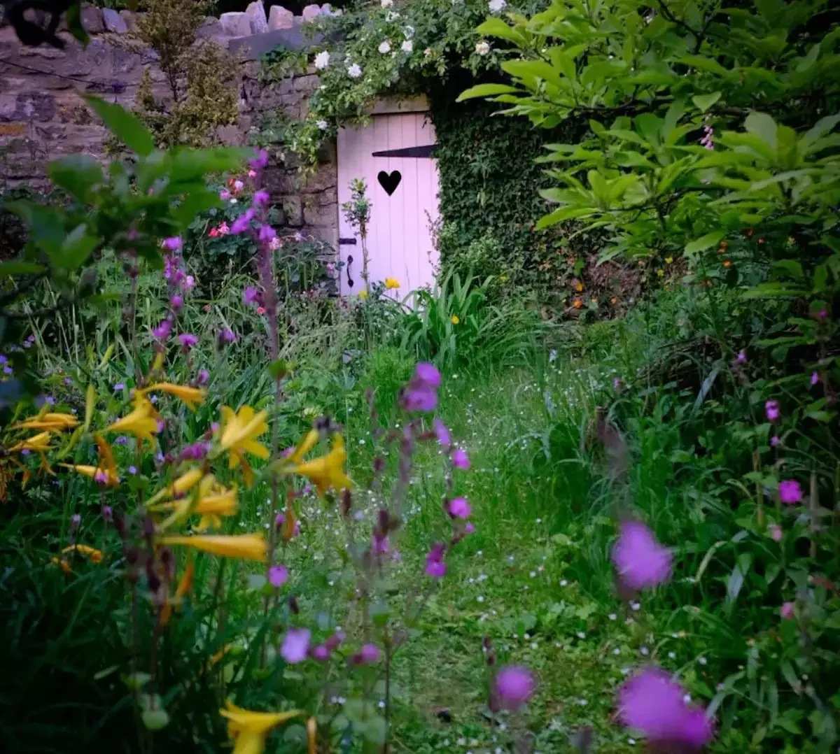 15 Stunning Wildflower Garden Designs to Transform Your Backyard Into a Natural Paradise Let It Grow