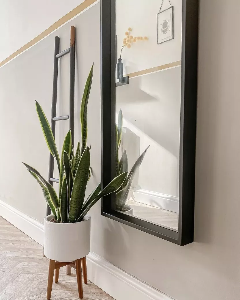 26 Stunning Hallway Decorating Ideas to Transform Your Home's Passageways 24 Let Your Plants Shine