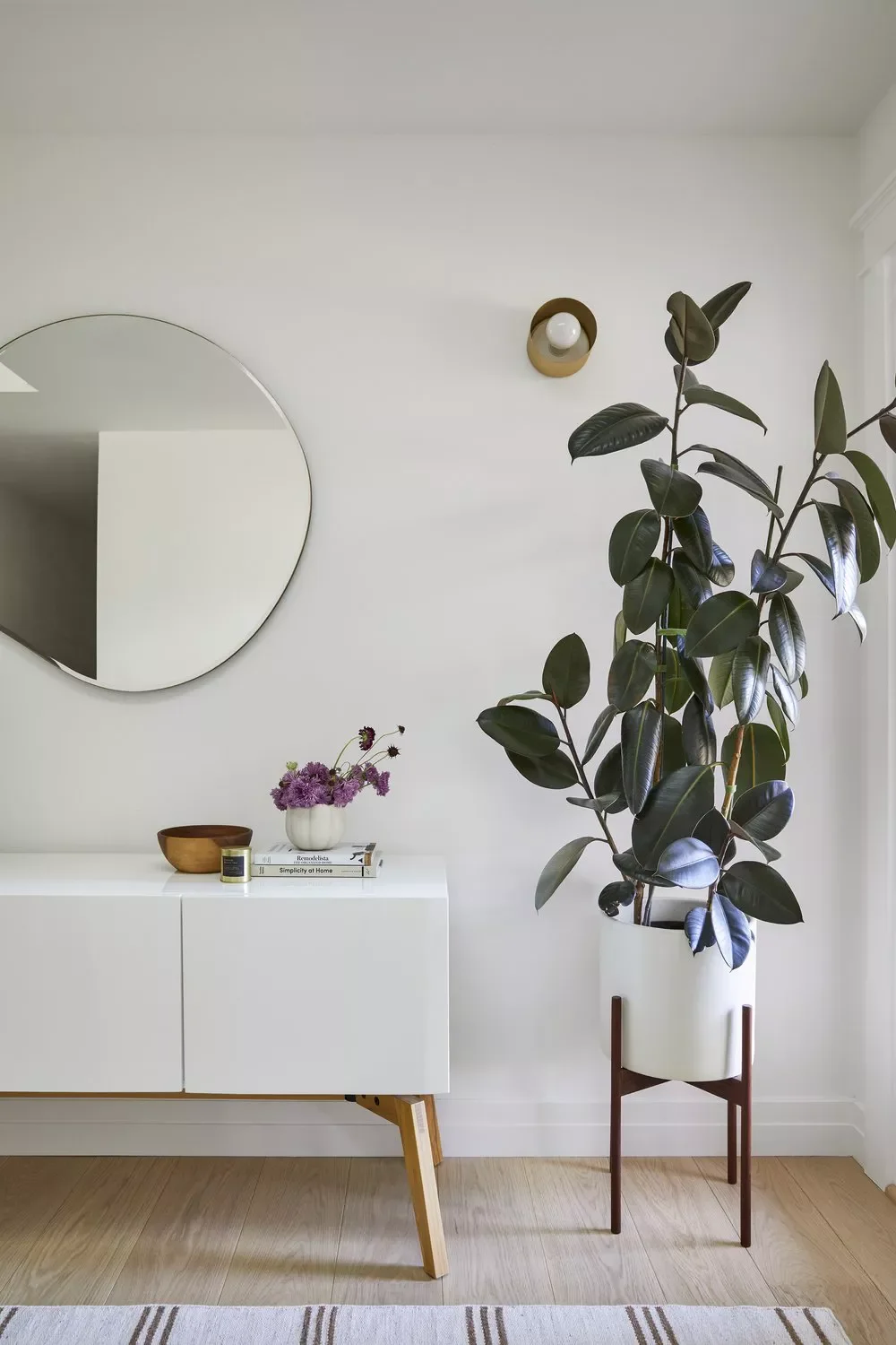 20 Creative Corner Ideas That Transform Your Living Room Let a Favorite Plant Thrive