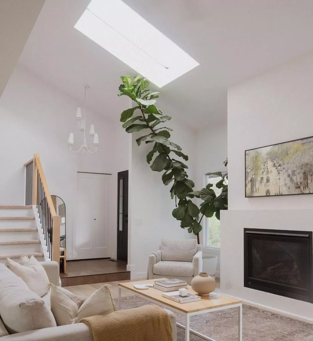 40 Stunning Entryway Lighting Ideas That Will Transform Your Home's First Impression Let the Light in With a Skylight