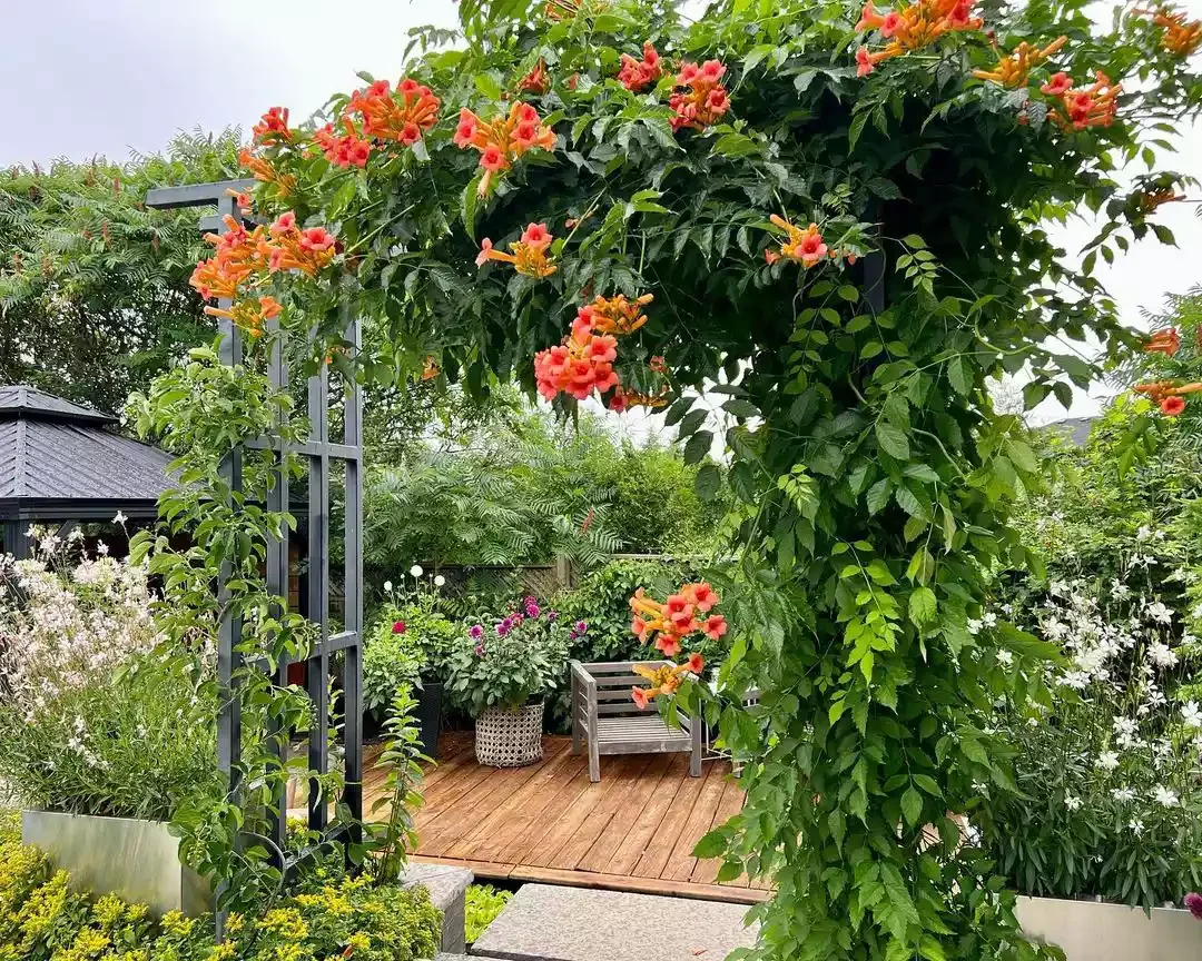 35 Enchanting Cottage Garden Ideas That Transform Your Outdoor Space Into a Magical Retreat Let the Vines Climb