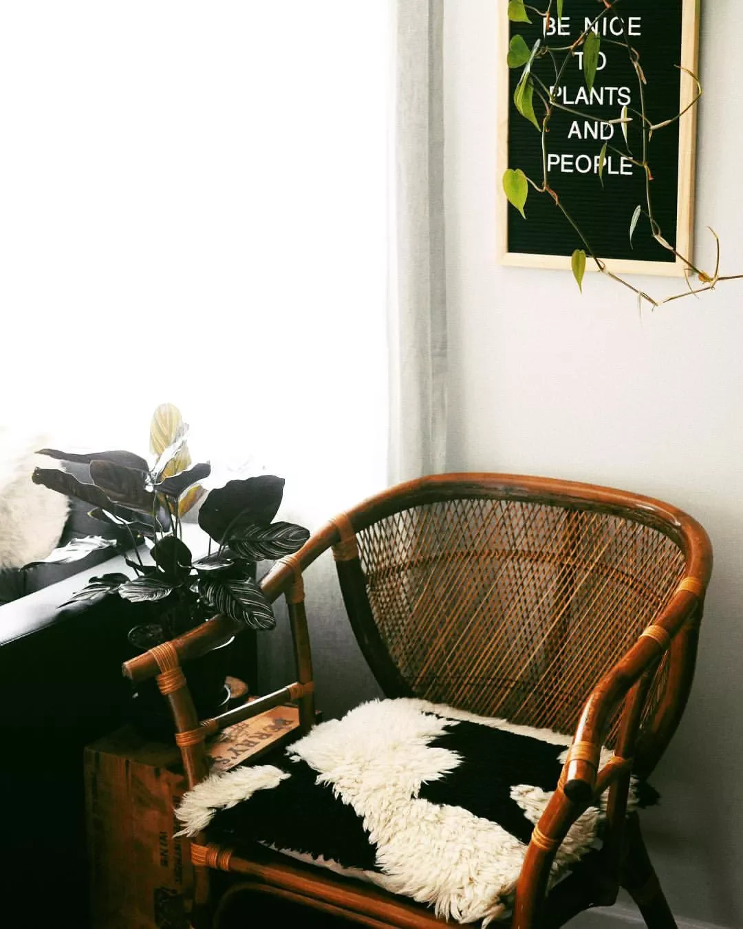 57 Inspiring Letter Board Ideas to Transform Every Room in Your Home Letter Board Reminder