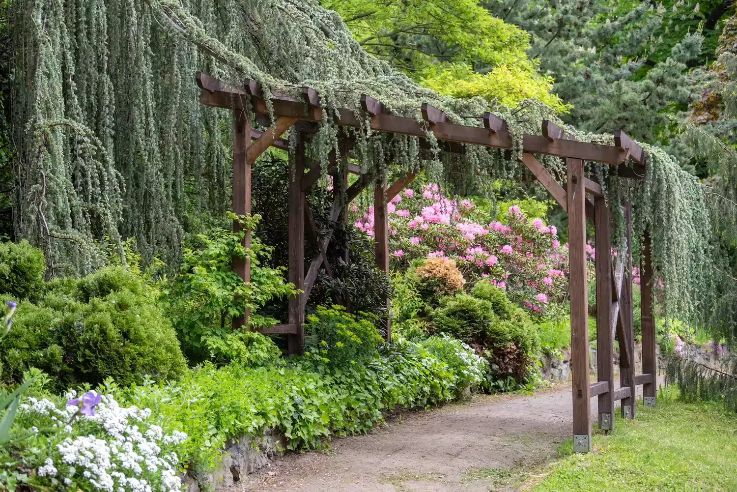 12 Beautiful Pergola Roof Designs That Will Transform Your Outdoor Living Space 5 Living Vines Pergola Roof