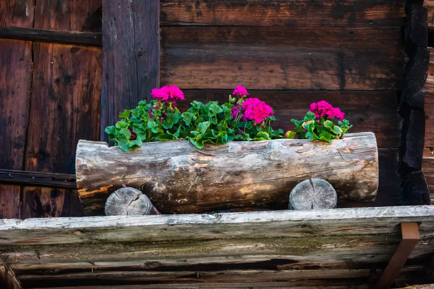 Logs and Sticks Garden Bed