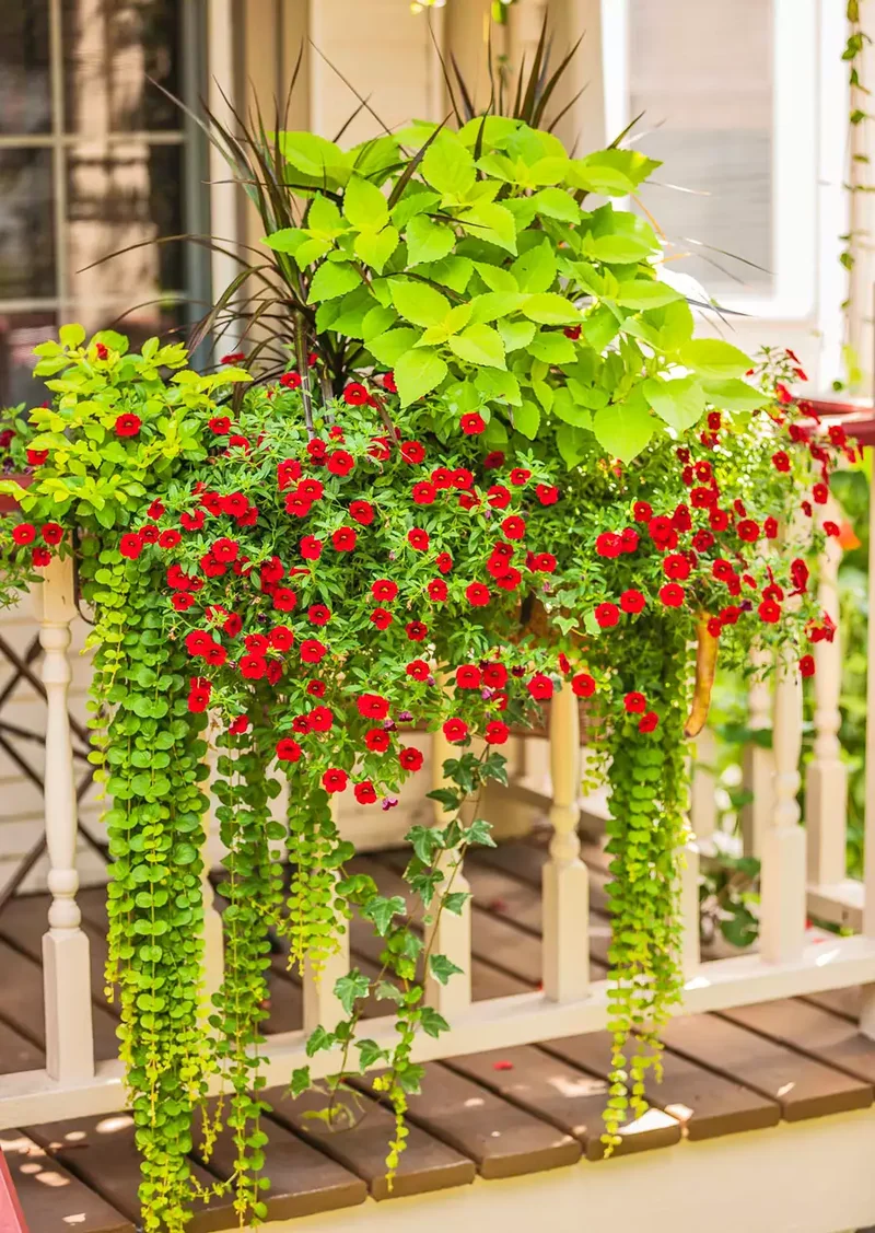 Long Planter for a Railing