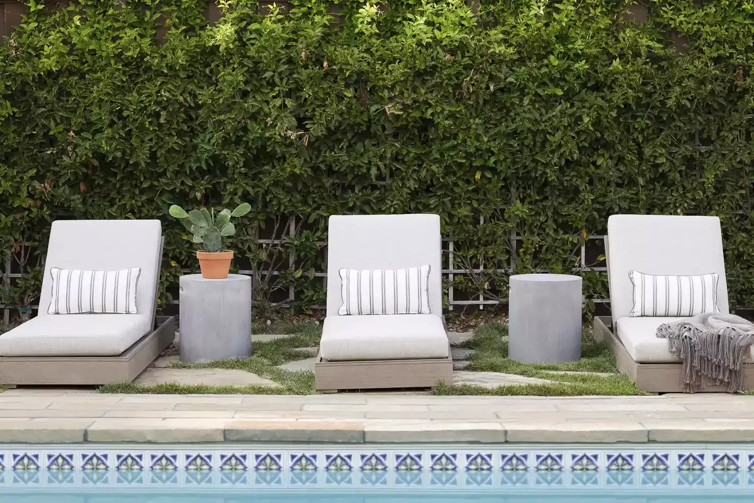 Low-Maintenance Plants