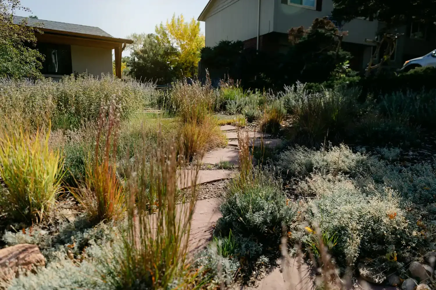 8 Beautiful Grass-Free Front Yard Ideas That Will Transform Your Outdoor Space Low-Water Groundcovers