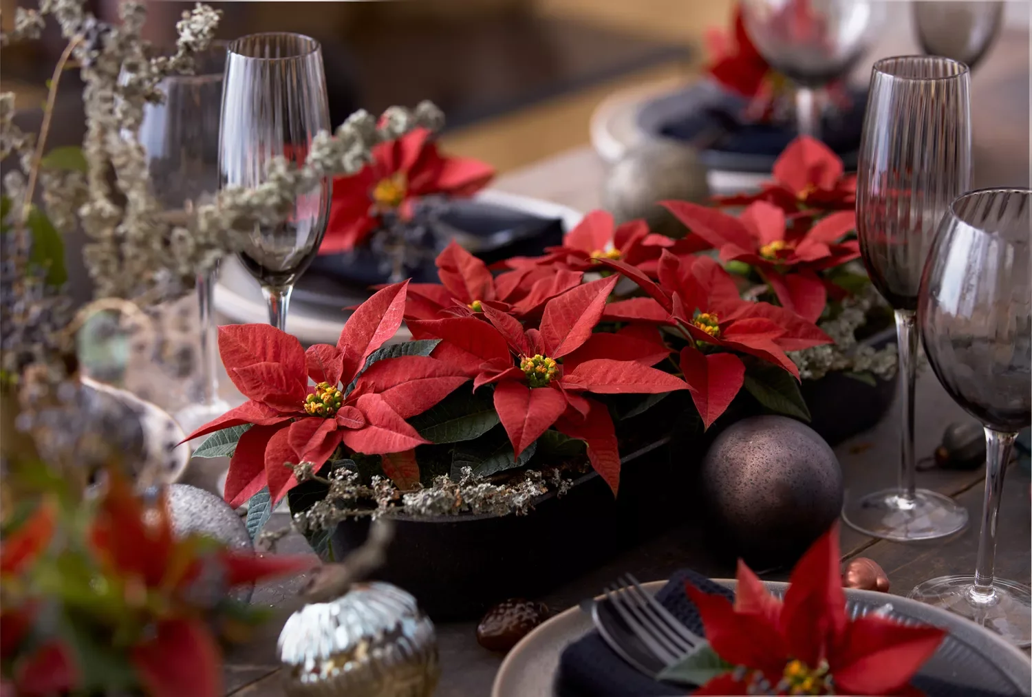 21 Stunning Poinsettia Display Ideas to Transform Your Holiday Home 3 Low and Wide Arrangement