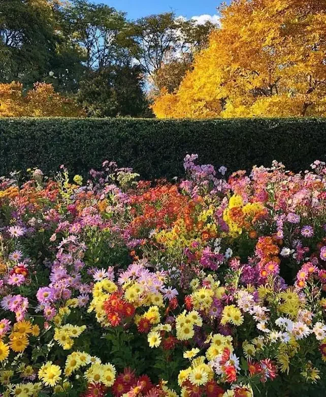 82 Stunning Front Yard Landscaping Ideas to Transform Your Home's Curb Appeal This Spring Lush Layers of Colorful Flowers