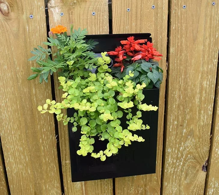 30 Creative DIY Wall Planter Projects to Transform Your Space Mailbox Wall Planter
