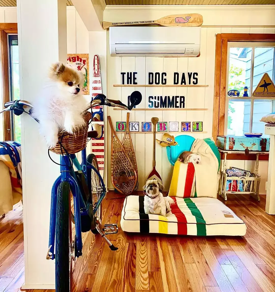 10 Stunning Lake House Decorating Ideas to Transform Your Waterfront Retreat 6 Make It Dog-Friendly