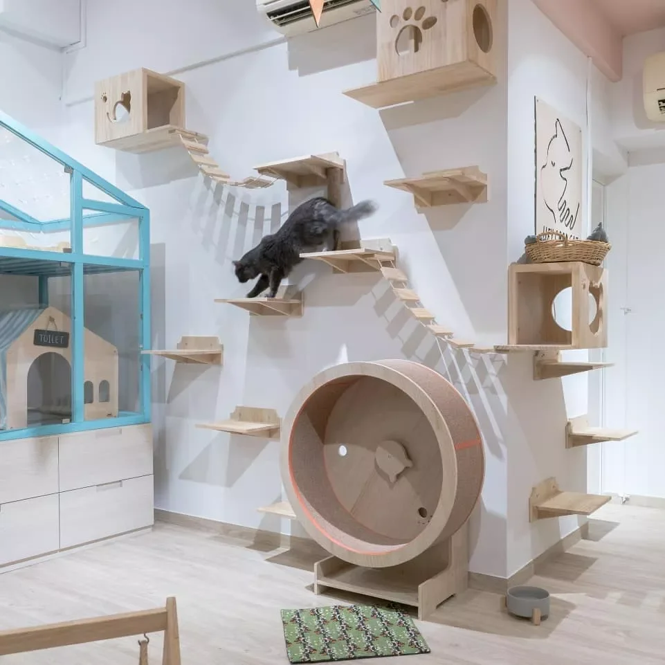 25 Stylish Cat Room Ideas That'll Transform Your Home Into a Feline Paradise 26 Make Room for Feline Friends