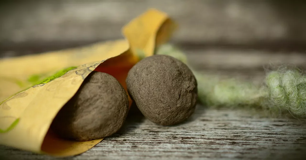 22 Cold-Season Garden Projects That Will Transform Your Outdoor Space This Winter 21 Make Seed Balls