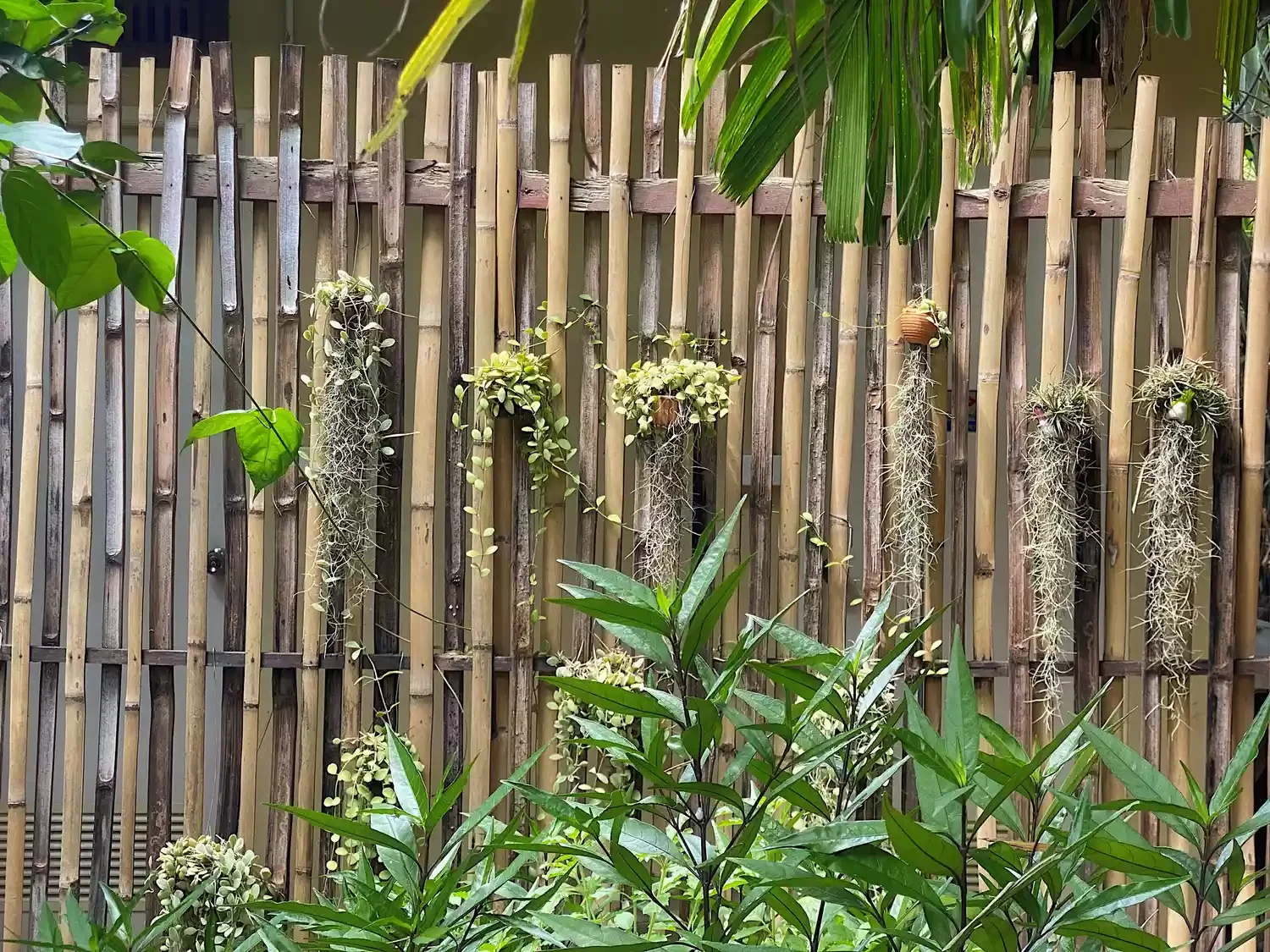 Make a Bamboo Fence