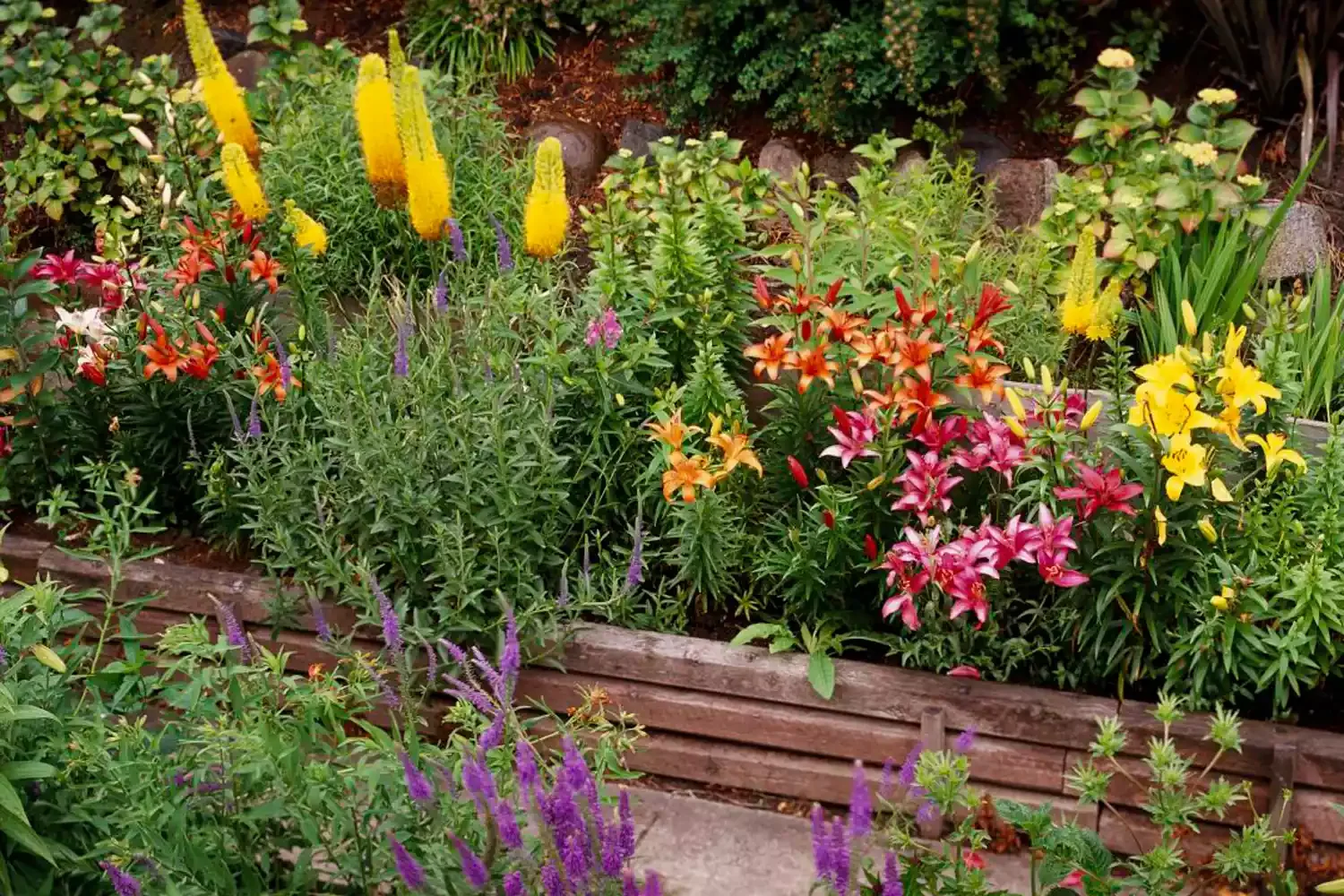 34 Stunning Front Yard Flower Bed Ideas That Will Transform Your Curb Appeal 8 Make a DIY Perennial Flower Bed