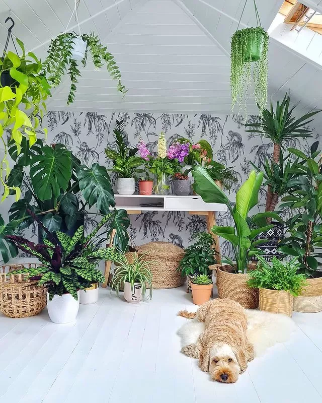 15 Indoor Plant Room Ideas to Create Your Personal Green Paradise 6 Make a Feature Wall of Your Plants
