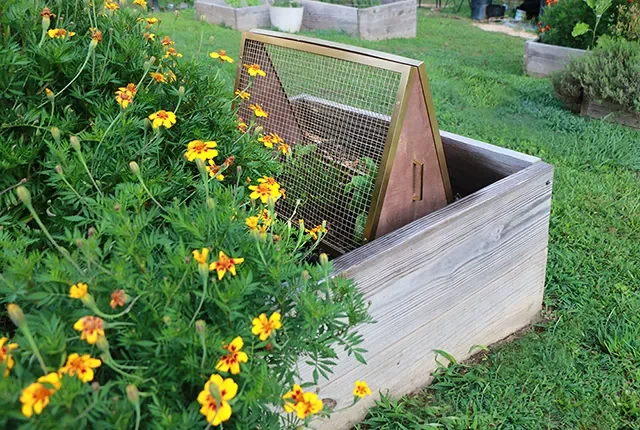 60 Garden Decor Ideas That Transform Your Outdoor Space Make a Plant Cover
