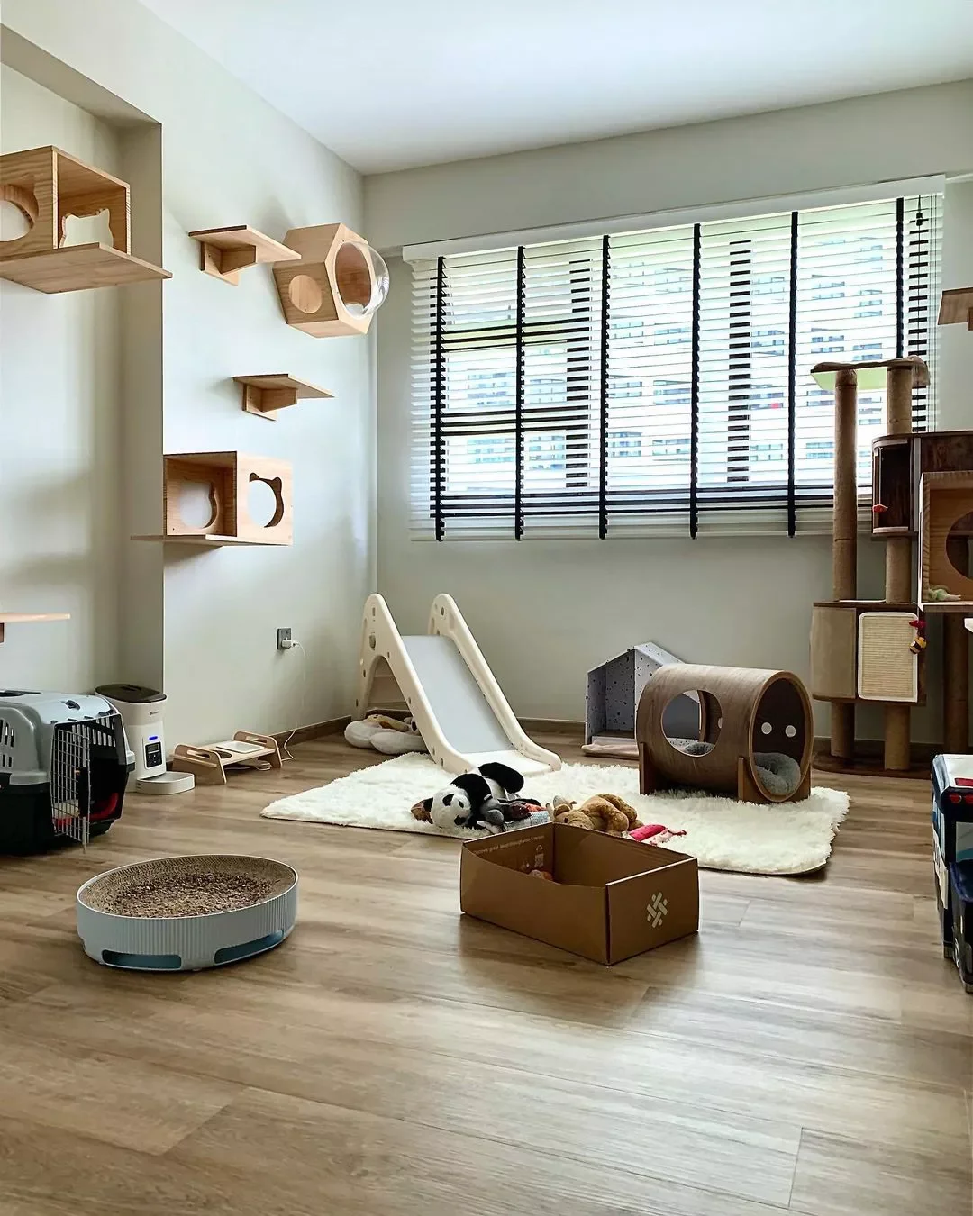 25 Stylish Cat Room Ideas That'll Transform Your Home Into a Feline Paradise 5 Make a Playroom