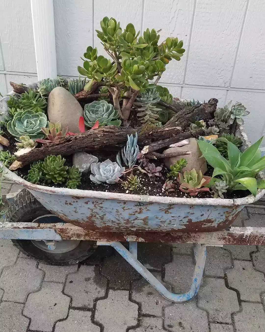 43 Budget-Friendly Backyard Makeover Ideas That Look Expensive 19 Make a Wheelbarrow Planter