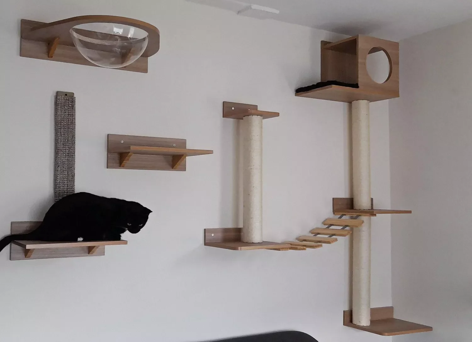25 Stylish Cat Room Ideas That'll Transform Your Home Into a Feline Paradise 18 Make an Entertainment Center