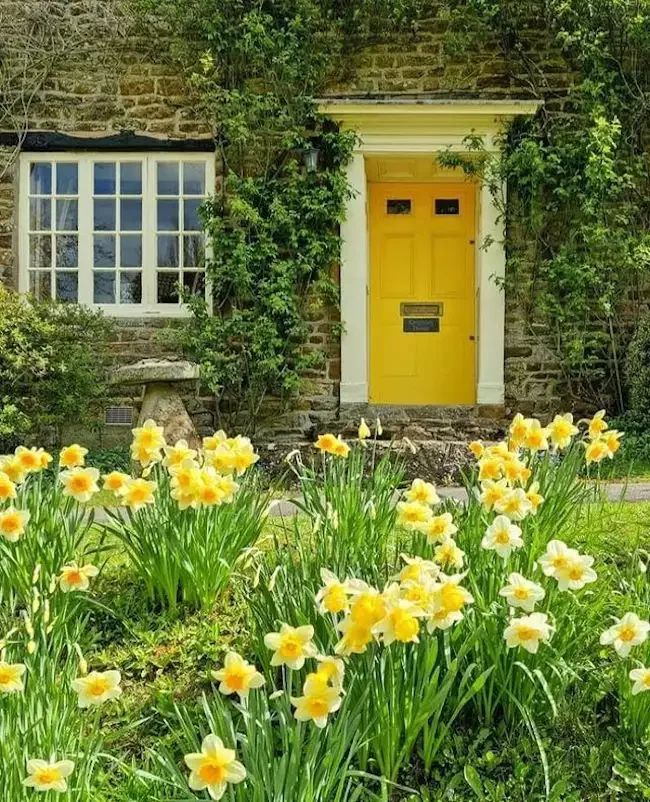82 Stunning Front Yard Landscaping Ideas to Transform Your Home's Curb Appeal This Spring Matching Front Door and Flowers