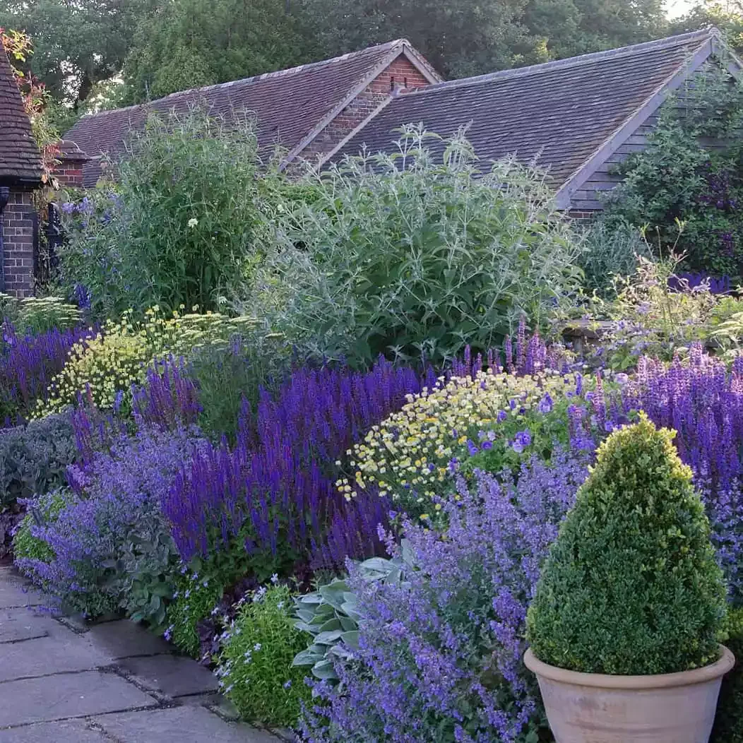12 Water-Smart Landscaping Ideas for Your Home Mediterranean Plants