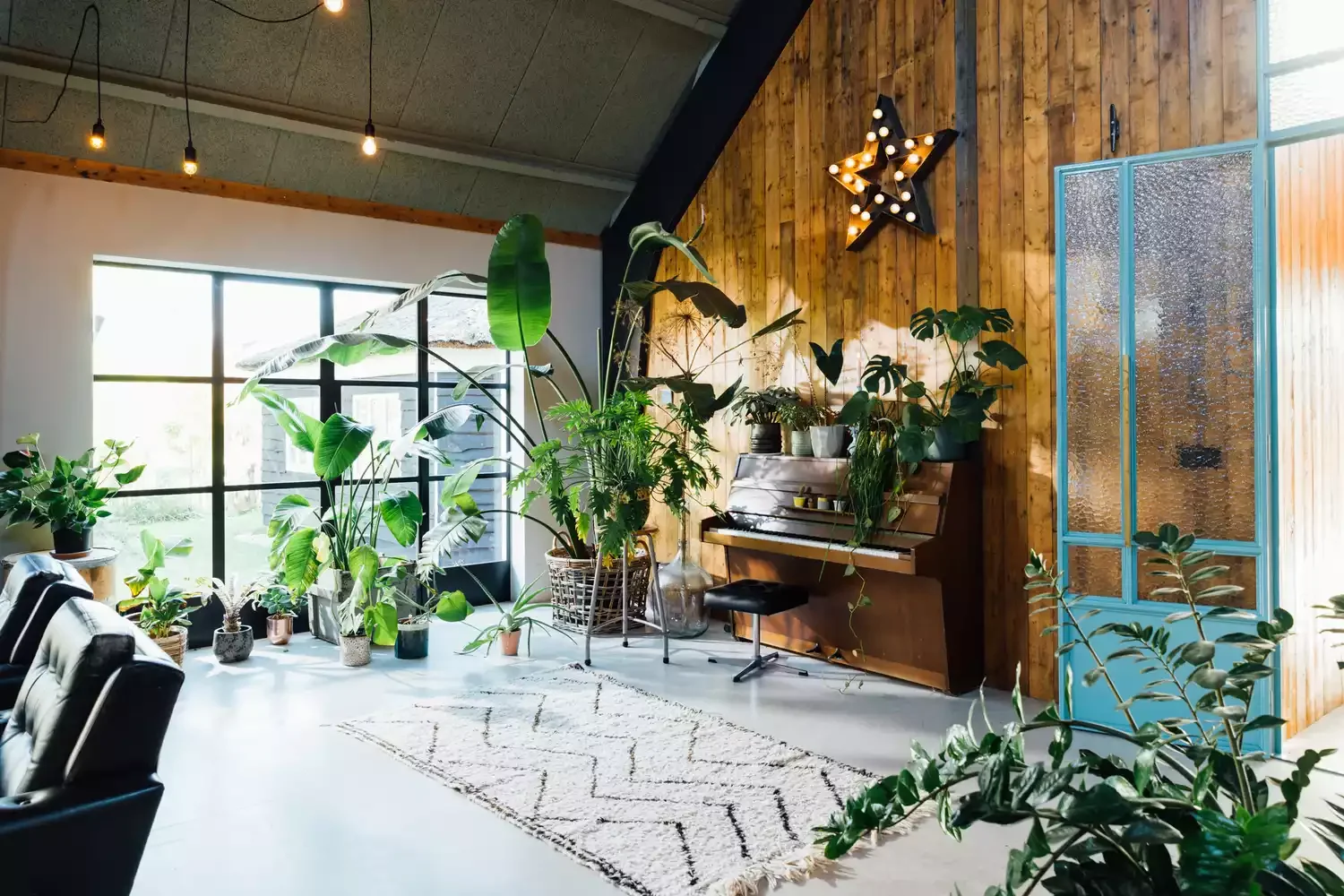 16 Beautiful Ways to Create Your Dream Indoor Garden Space Midcentury Chic