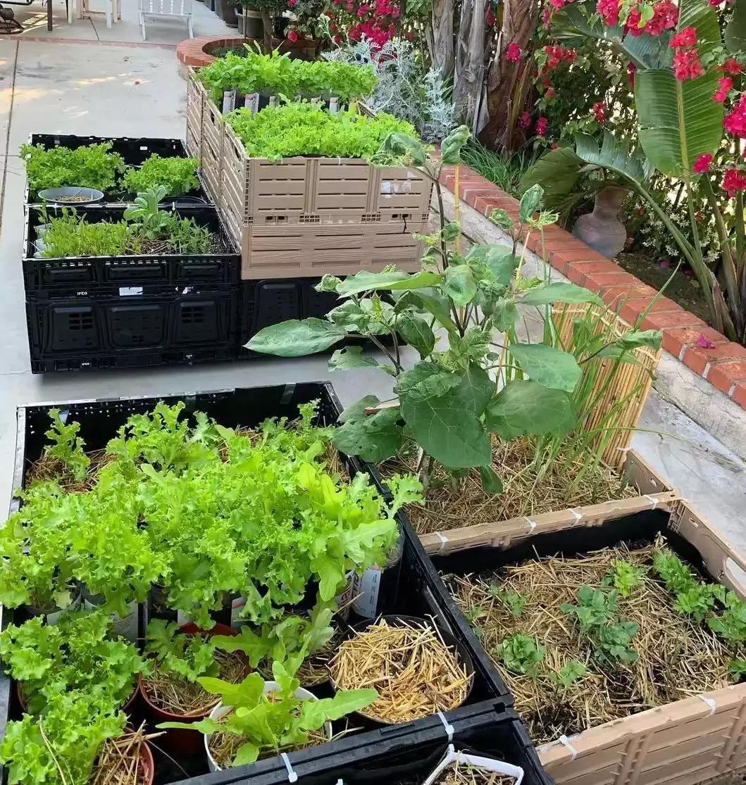 Milk Crate Raised Garden Bed