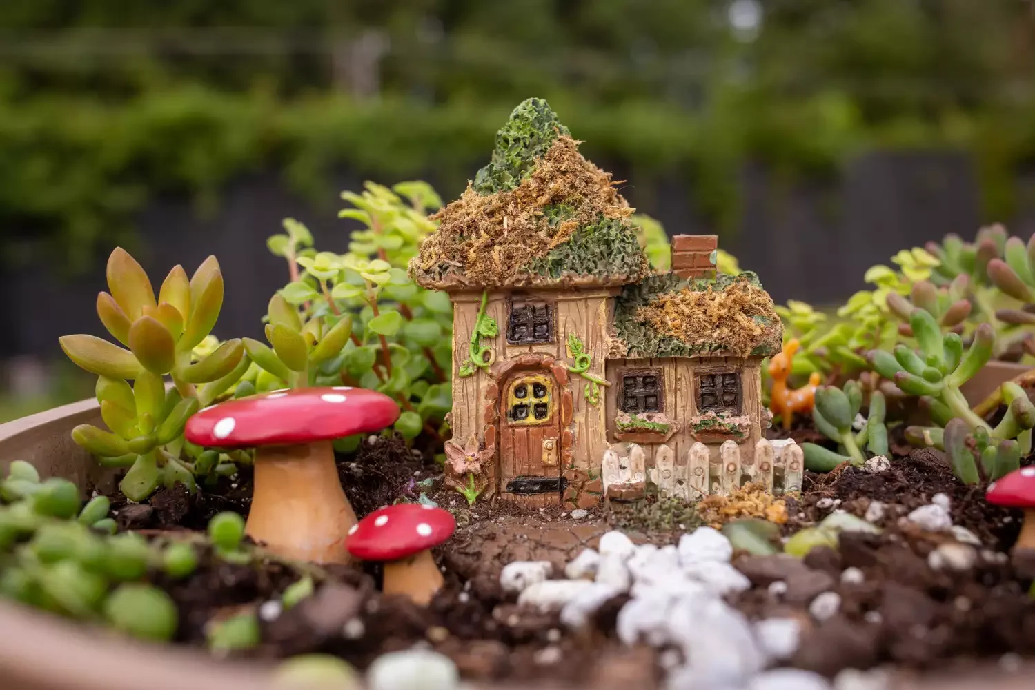 26 Whimsical Fairy Garden Ideas That Will Transform Your Backyard Into Pure Magic Mini Fairy Garden in a Pot