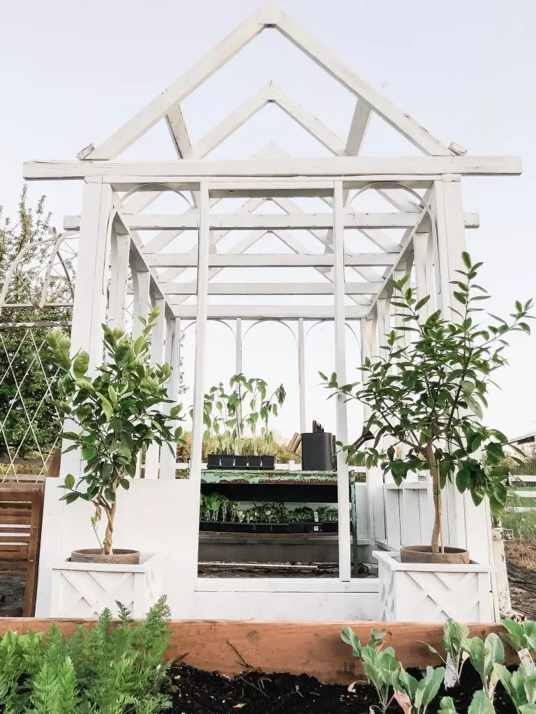 57 Stunning Backyard Transformation Ideas to Create Your Perfect Outdoor Retreat Mini Greenhouse